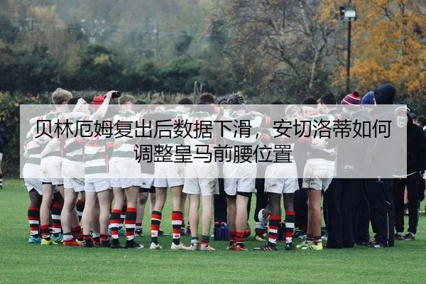 bei-lin-e-mu-fu-chu-hou-shu-ju-xia-hua-an-qie-luo-di-ru-he-tiao-zheng-huang-ma-qian-yao-wei-zhi-2-117.jpg